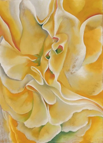 Sororidade e Georgia O'Keeffe 3 Yellow Sweet Peas 1925