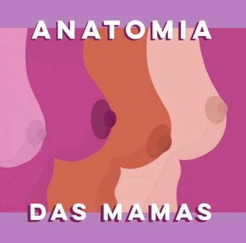 Anatomia das mamas