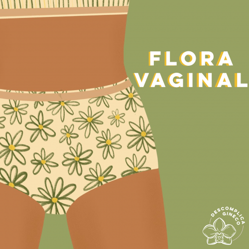 foto capa flora vaginal