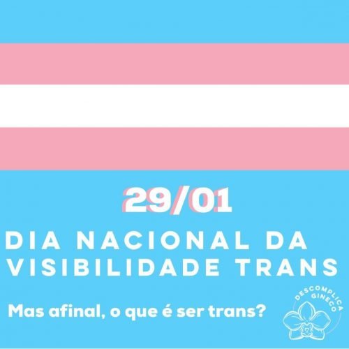 WhatsApp Image 2021 07 13 at 17.45.00