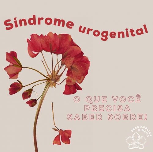 WhatsApp Image 2021 07 14 at 14.53.31